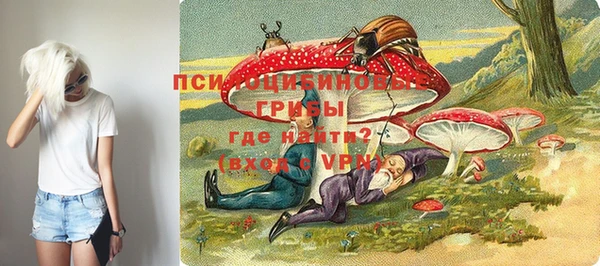 эйфоретик Белоозёрский