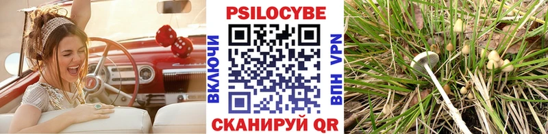 Псилоцибиновые грибы Psilocybine cubensis  Куйбышев 